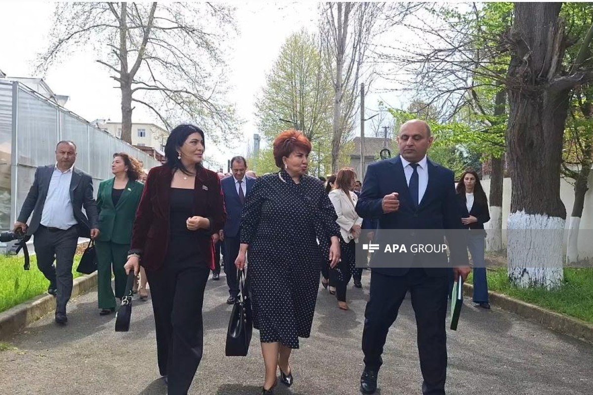 В Лянкяране обсудили развитие профобразования в регионах-ФОТО 