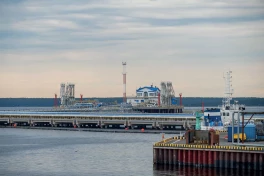 Нефтяные порты РФ на Балтике не восстановились после атак дронов