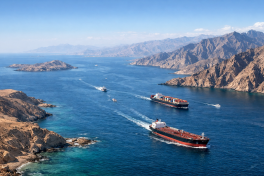 Иран разрешил проход гуманитарных грузов через Ормузский пролив