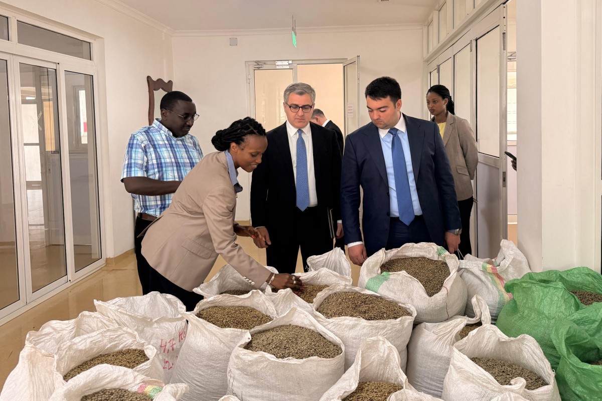 Азербайджан будет производить кофе? -ФОТО 