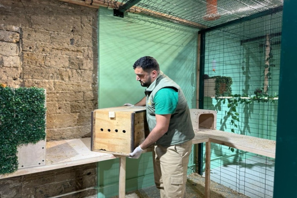 В Баку выявили незаконное содержание животных в детском центре-ФОТО 