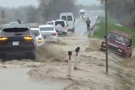 Наводнение в Эдирне: разлив Мерича затопил дороги и поля в Турции-ФОТО 