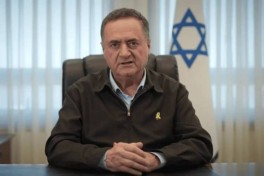 Кац: «Хезболла» просит о прекращении огня