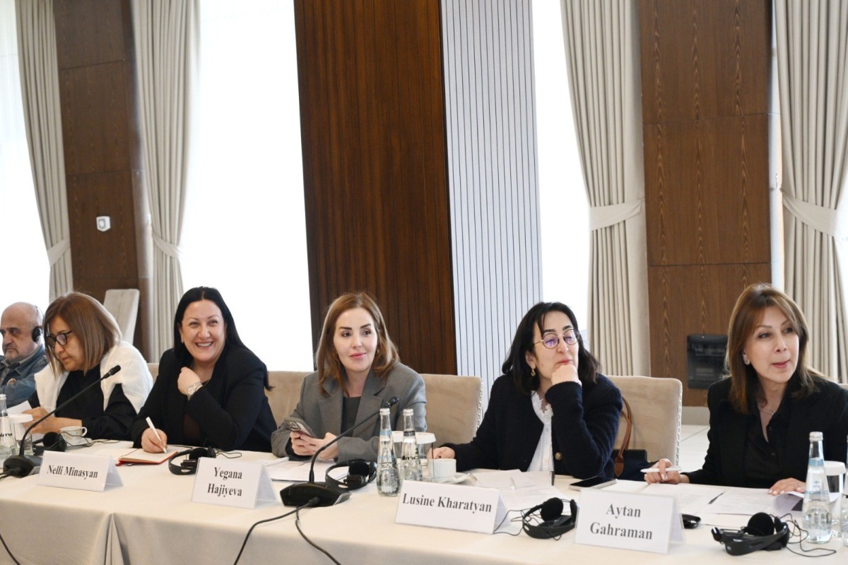 Диалог гражданских обществ Азербайджана и Армении продолжается-ФОТО -ВИДЕО 