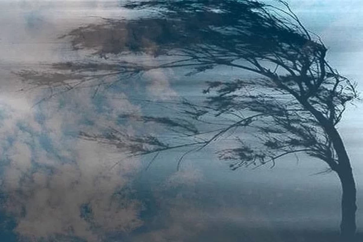 Сильный ветер ожидается в Баку и регионах 