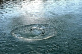 В Тертере расследуют гибель 7-летнего ребенка