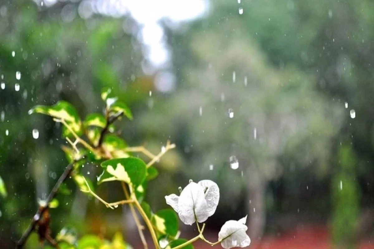 В стране сохранится нестабильная погода: в Баку кратковременные дожди, в регионах снег