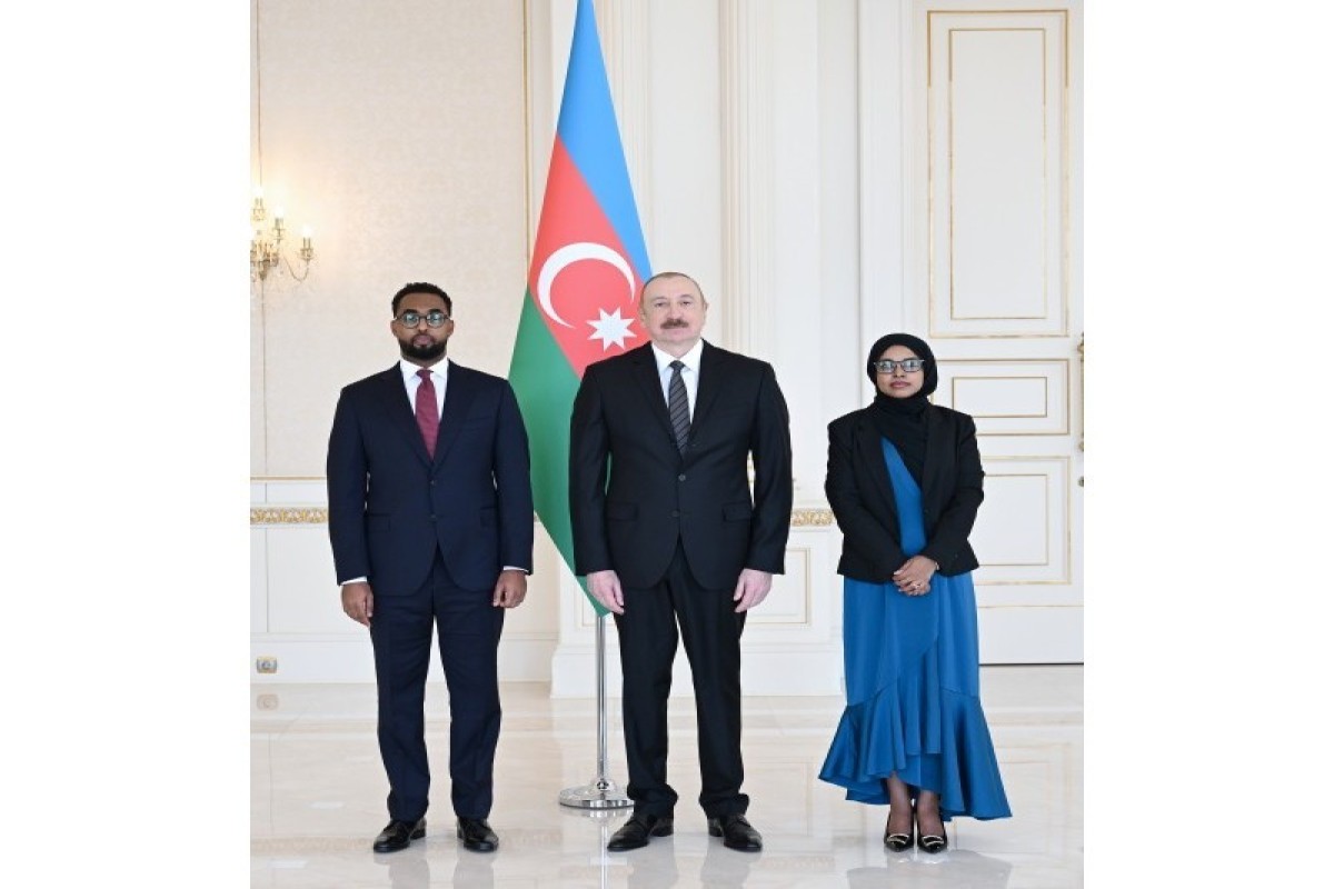 Ильхам Алиев принял нового посла Сомали-ФОТО -ОБНОВЛЕНО 