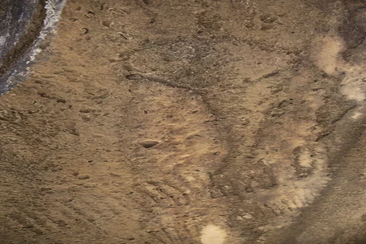 В Гобустане обнаружены новые наскальные рисунки-ФОТО 