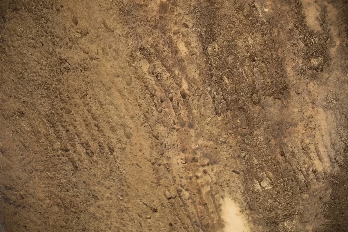 В Гобустане обнаружены новые наскальные рисунки-ФОТО 