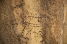 В Гобустане обнаружены новые наскальные рисунки-ФОТО 