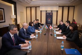 Папуашвили наградил Гафарову парламентской медалью