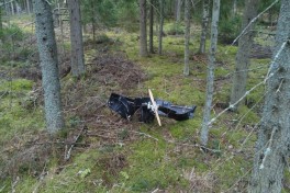 В Литве за неделю задержали пять беспилотников в запретных зонах