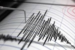 В Индонезии произошло сильное землетрясение