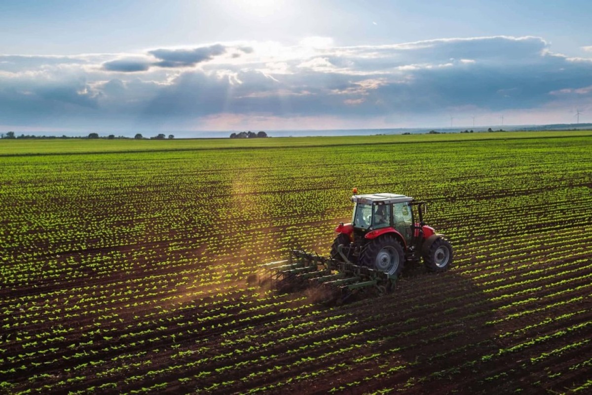 С жителями освобожденных территорий подписаны договоры аренды сельхозземель