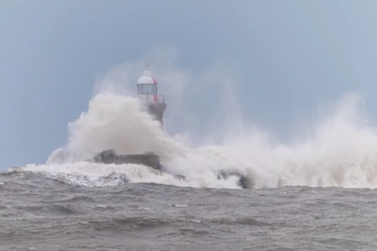 Землетрясение в Японии может спровоцировать цунами на Камчатке