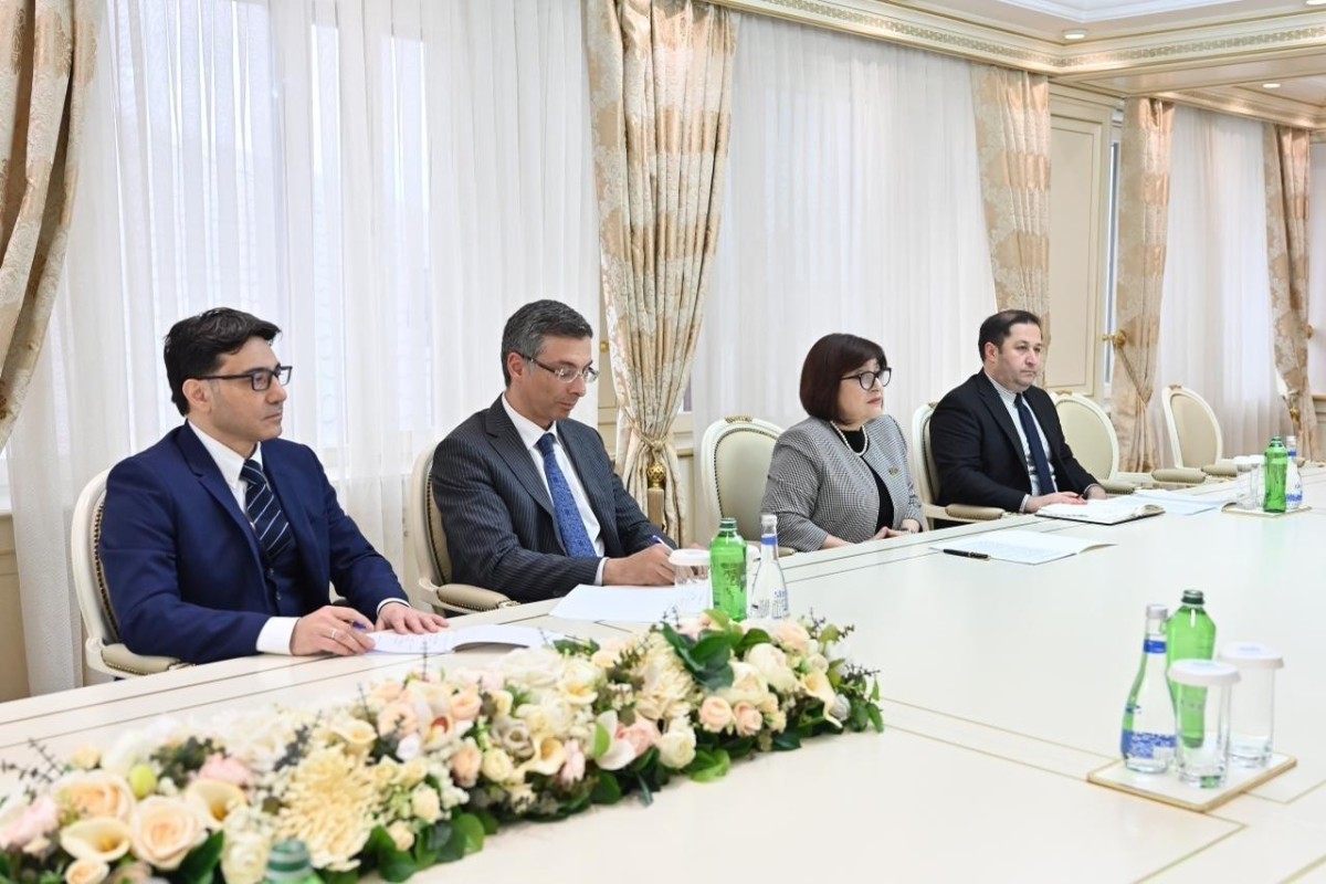 В Баку прошли переговоры парламентариев Азербайджана и Ирландии-ФОТО 