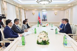 В Баку прошли переговоры парламентариев Азербайджана и Ирландии-ФОТО 