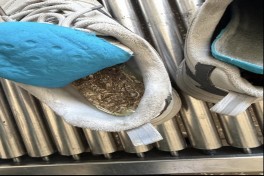 Золото в кроссовке: китайского пассажира задержали на границе с РФ