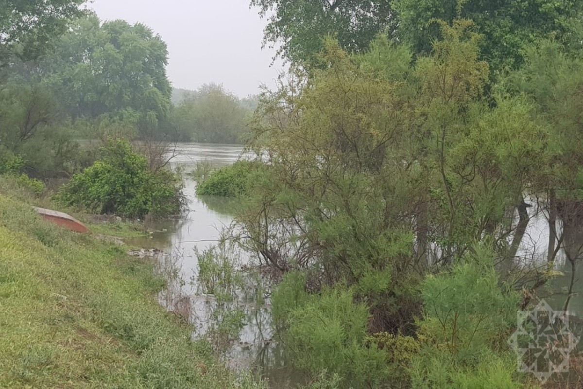 В Зардабе принимаются меры после повышения уровня воды в Куре