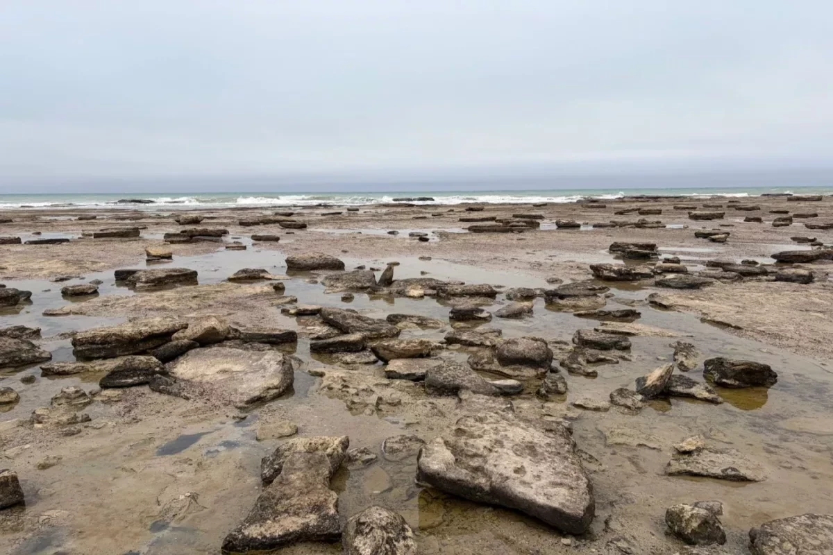 Каспий может обмелеть на десятки метров к 2050 году 