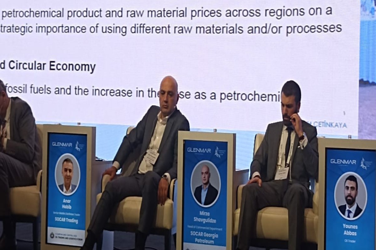 SOCAR Georgia: энергетический кризис затронул Грузию