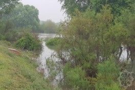 В Зардабе принимаются меры после повышения уровня воды в Куре