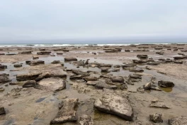 Каспий может обмелеть на десятки метров к 2050 году 