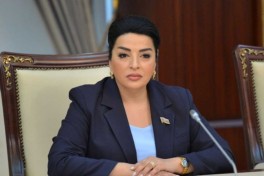 Депутат ММ: Политика Армении была направлена на уничтожение исторического присутствия азербайджанцев