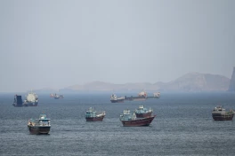 Турция готова участвовать в разминировании Ормузского пролива