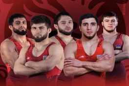 Азербайджанские борцы успешно выступают на чемпионате Европы в Тиране