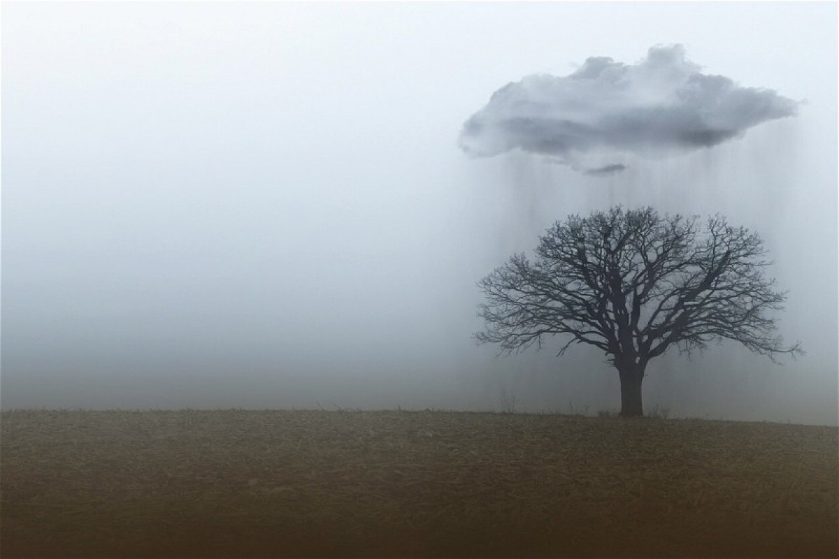 В Азербайджане сохраняется дождливая и ветреная погода