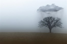 В Азербайджане сохраняется дождливая и ветреная погода