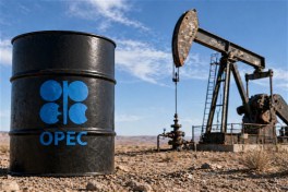 Трамп меняет рынок: как США «раскачали» нефть и ослабили ОПЕК - МНЕНИЯ ЭКСПЕРТОВ 