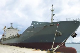 После атаки дронов в Черном море затонуло торговое судно «Янина»