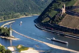 Bild: уровень воды в Рейне достиг рекордно низкой отметки