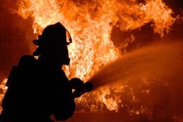 В Физули вдоль реки Араз вспыхнул сильный пожар