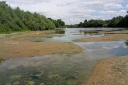 Критическое обмеление Днестра вынудило Украину и Молдову вводить ограничения