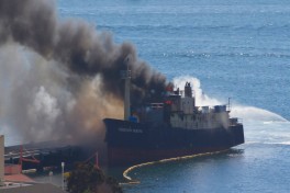 Российские беспилотники атаковали немецкий сухогруз в Черном море