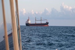 Турция предупредила судоходные компании о рисках в Черном море