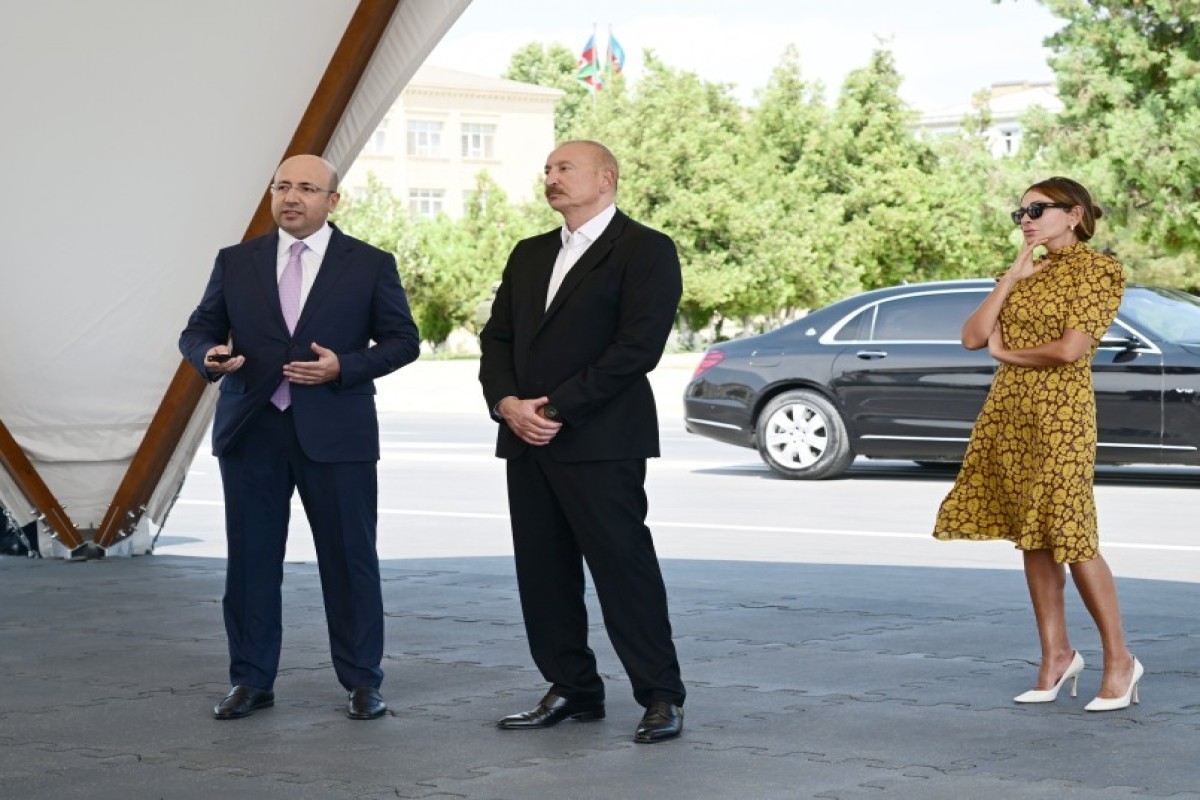 Президент ознакомился с Генпланом развития города Нахчыван до 2044 года