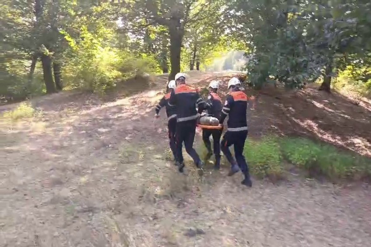 МЧС Азербайджана провело учения в горно-лесной местности-ФОТО 