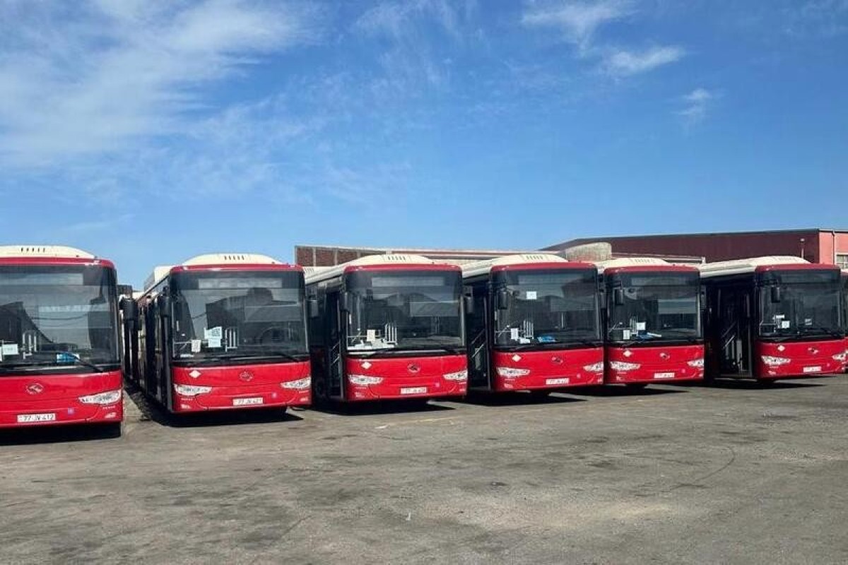 С 14 августа в Баку заработают новые экспресс-автобусы-ФОТО -ВИДЕО 