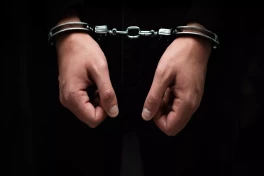 В Грузии задержали разыскиваемого ФБР гражданина США и Узбекистана