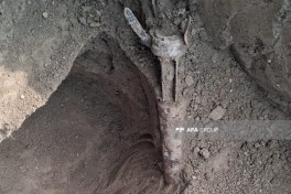 Боеприпасы времен Первой Карабахской войны нашли на кладбище в Агдаме