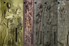 Ученые раскрыли тайну «хаотичных» захоронений древних египтян