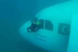 Зачем Турция затопила огромный Airbus в Эгейском море?