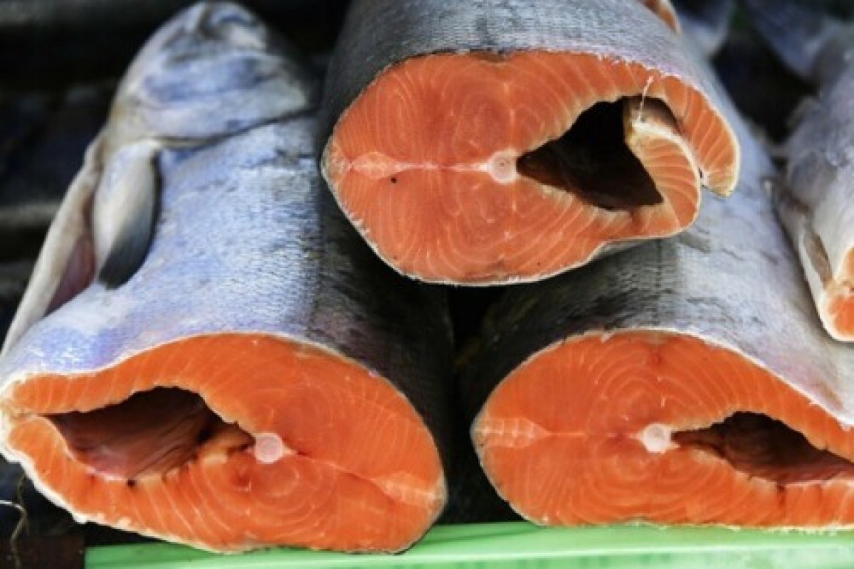 Беларусь без выхода к морю вышла в лидеры поставок рыбы в Россию