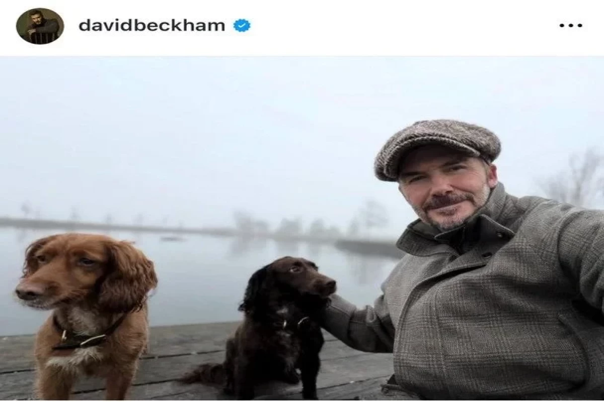 Дэвид Бекхэм поделился милыми кадрами с питомцами-ФОТО 