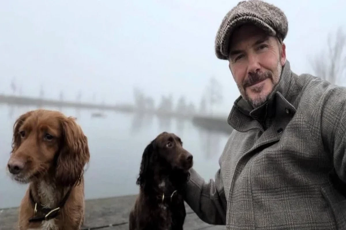 Дэвид Бекхэм поделился милыми кадрами с питомцами-ФОТО 